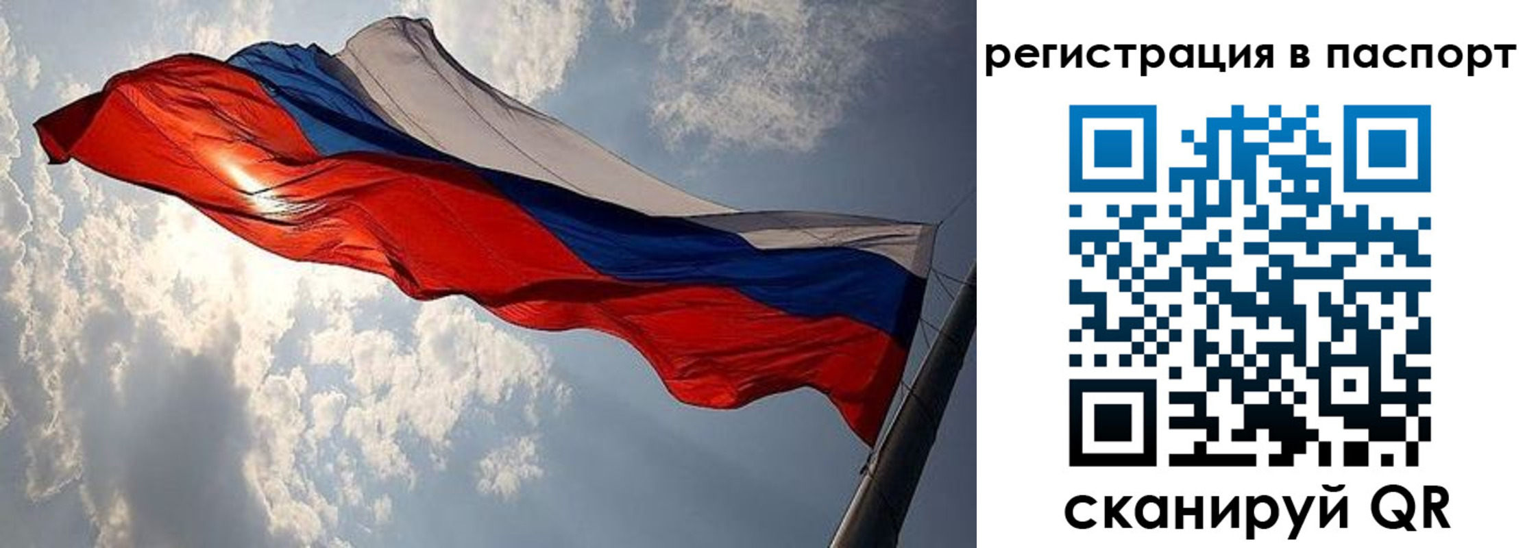 временная регистрация для всех в Электрогорске